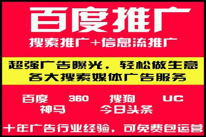 百度推广全攻略：成功案例剖析